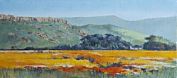 Biedouw Valley - Namaqualand | 2014 | Oil on Canvas | 30 x 43 cm